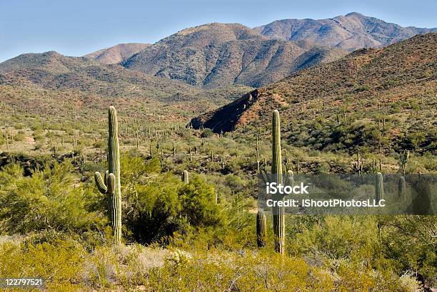 Deserto Do Arizona - Fotografias de stock e mais imagens de Ao Ar Livre - Ao Ar Livre, Arizona, Calor