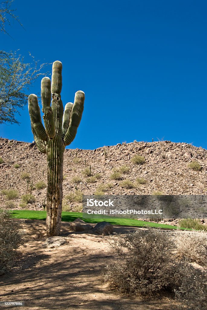 Desert Golf  Arid Climate Stock Photo