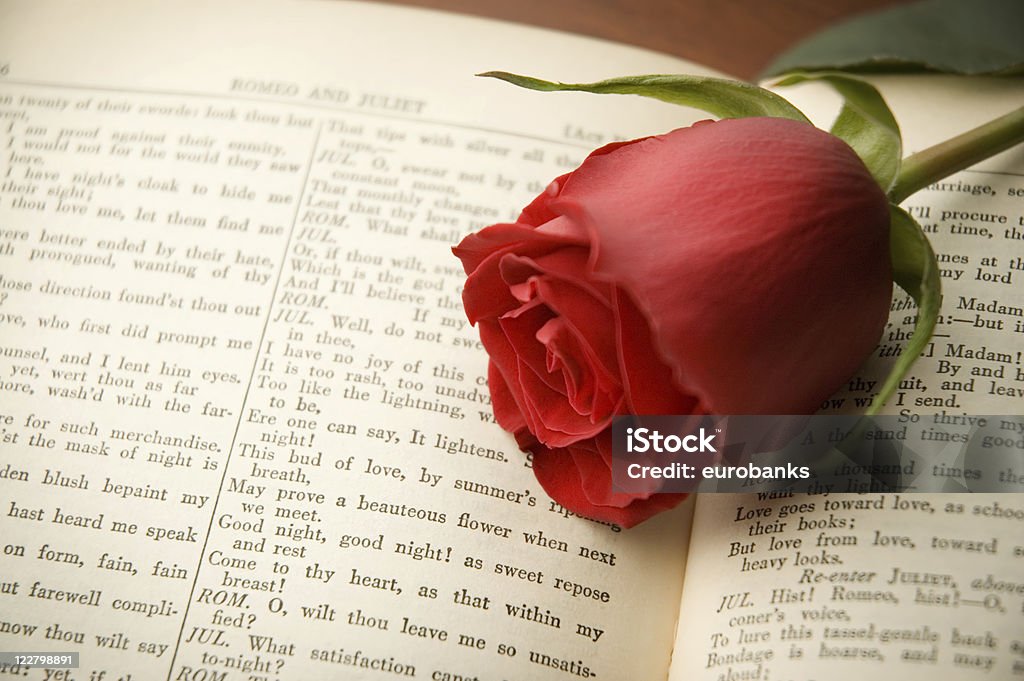 Роза на шекспировский - Стоковые фото Уильям Шекспир роялти-фри