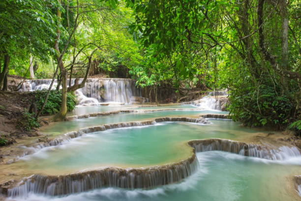istock Tat Kuang Si Waterfalls 1228022839