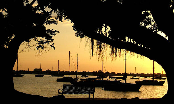 Florida Sunset stock photo