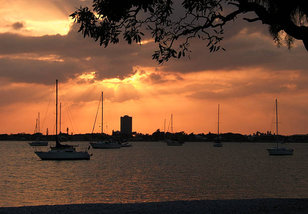 Beautiful Serene Sunset stock photo