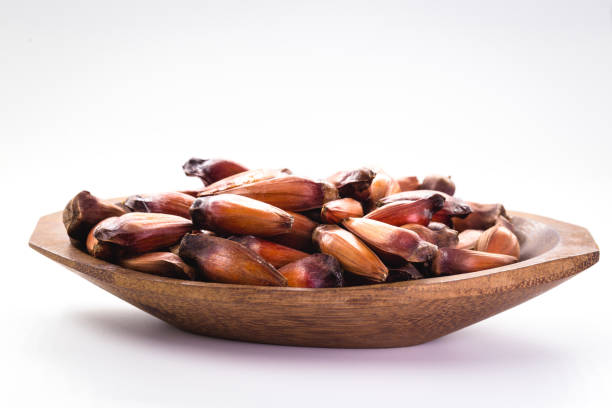 typowe nasiona drzewa araucaria używane jako przyprawa w kuchni brazylijskiej w zimie. brazylijska sosna w brązowej drewnianej rustykalnej misce. - tryb zdjęcia i obrazy z banku zdjęć