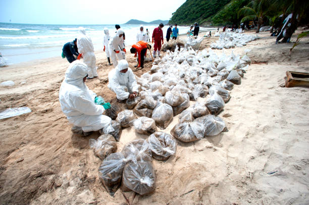 pracownicy i wolontariusze są łopaty piasku z ropy naftowej zanieczyszczonej na plaży w dużej plastikowej torbie. - oil slick pouring chemical oil zdjęcia i obrazy z banku zdjęć