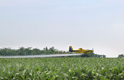 Airplane applying pesticide onto a farm field
