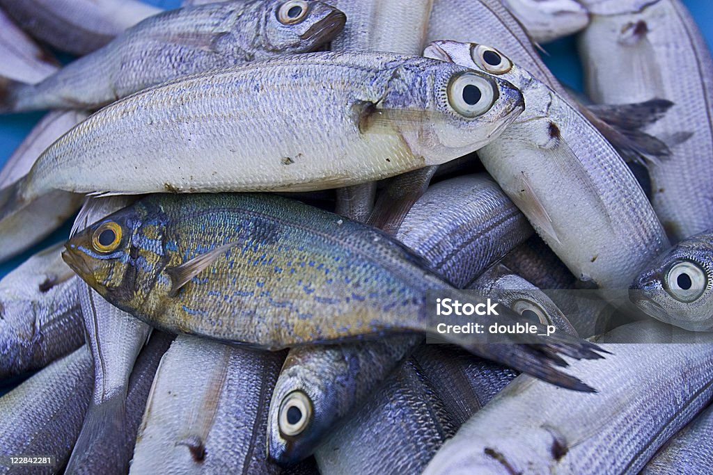 Fisch auf market - Lizenzfrei Bunt - Farbton Stock-Foto