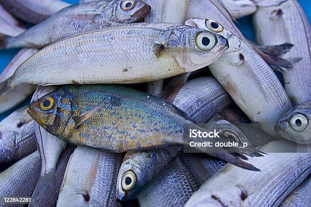 Fisch Auf Market Stockfoto und mehr Bilder von Bunt - Farbton - Bunt - Farbton, Fang, Fangen