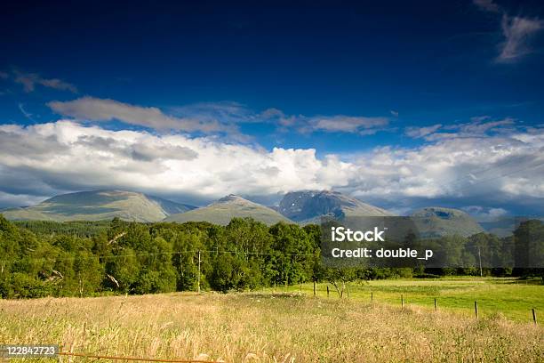 Stylowe - zdjęcia stockowe i więcej obrazów Linia drzew - Linia drzew, Trawa, Ben Nevis