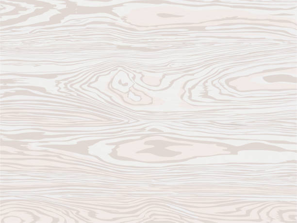 illustrazioni stock, clip art, cartoni animati e icone di tendenza di texture in legno. sfondo naturale in legno bianco - white background brown wood old fashioned