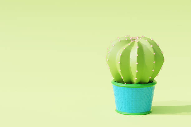 istock Cactus in cartoon minimal style with light green background. 1228475145
