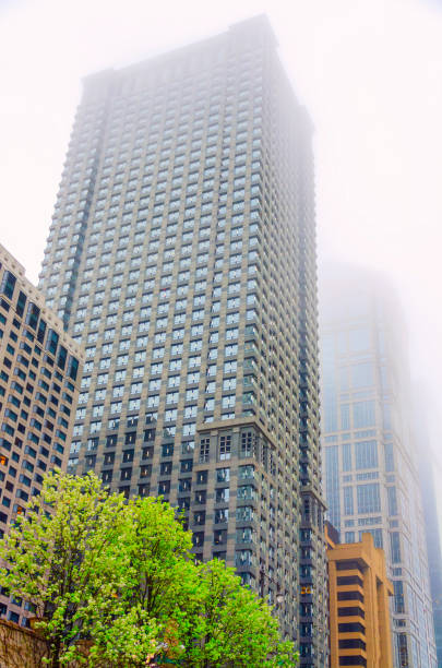 istock Scene of Chicago 1228521548