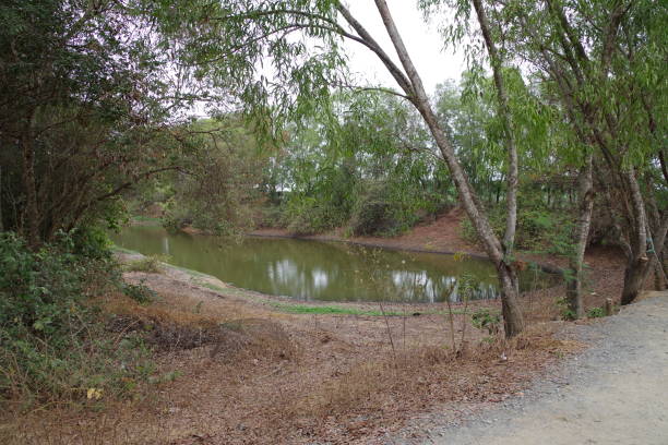 istock Killing fields in Choeung Ek Genocidal Center Phnom penh Cambodia 1228530348