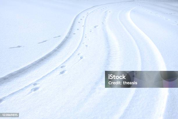 Śledzi W Śniegu - zdjęcia stockowe i więcej obrazów Abstrakcja - Abstrakcja, Bez ludzi, Chłodny