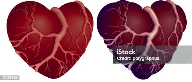 Два Сердца Формы — стоковая векторная графика и другие изображения на тему Коронарная артерия - Коронарная артерия, Без людей, Белый фон