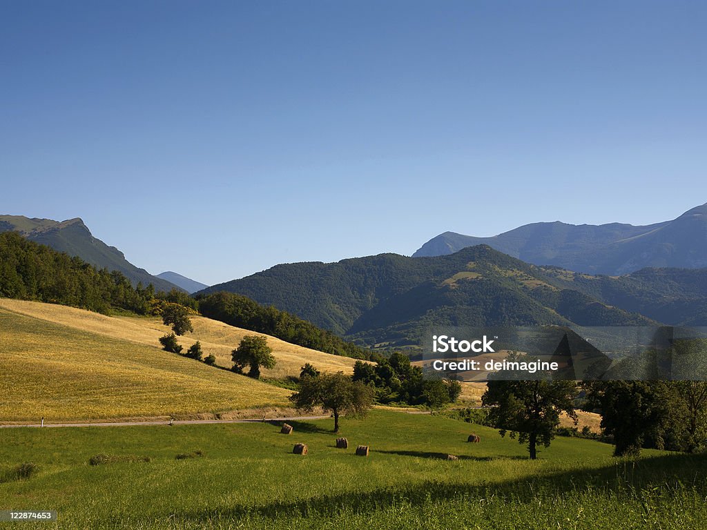 Paesaggio in una valle - Foto stock royalty-free di Agricoltura