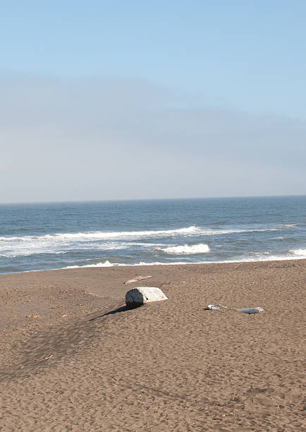 Deserted California Beach stock photo