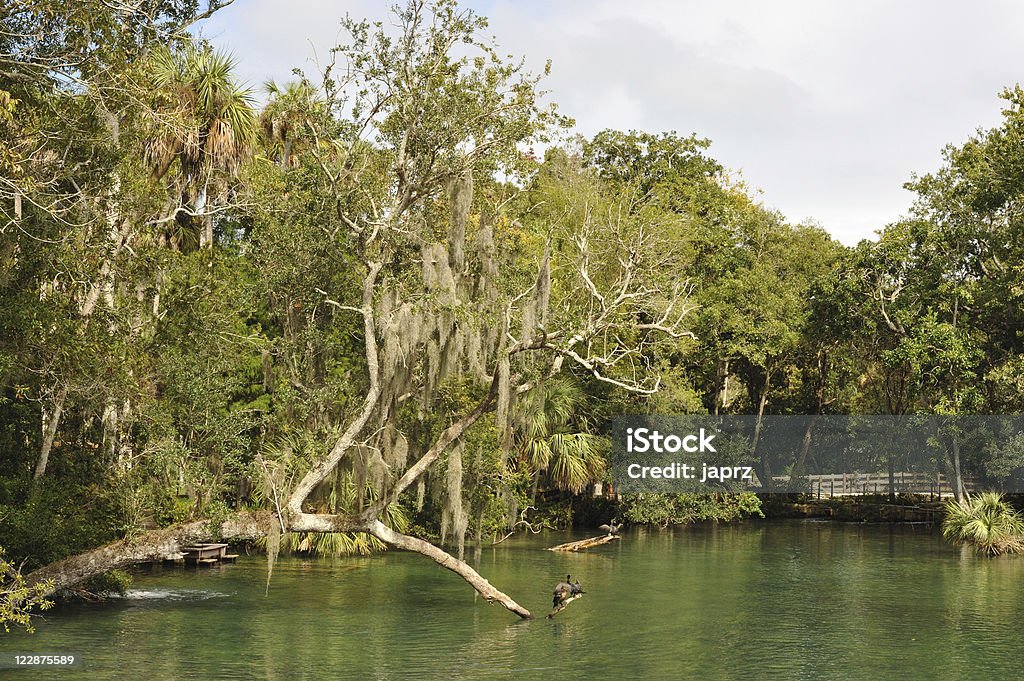 Homosassa State Park, Florida Homosassa Springs State Wildlife Park Stock Photo