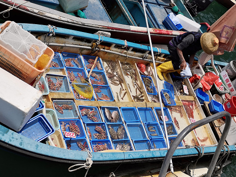 Local man selling fresh fish and seafood directly from the boats in Sai Kung Town harbor, a town on Sai Kung Peninsula, in the New Territories, Hong Kong.