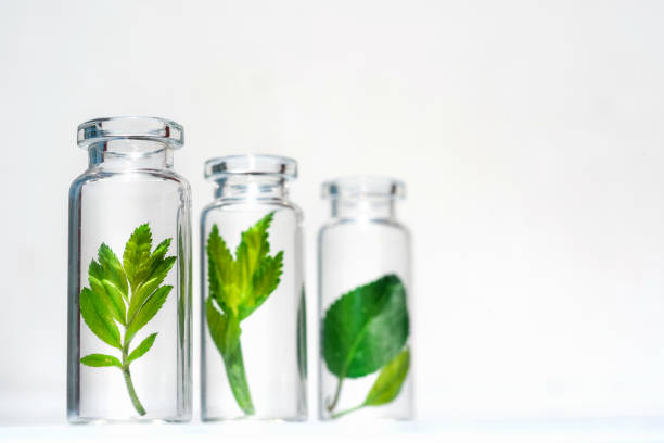 istock Bottles with herbs, natural essential oil, organic cosmetics on white background 1228946076