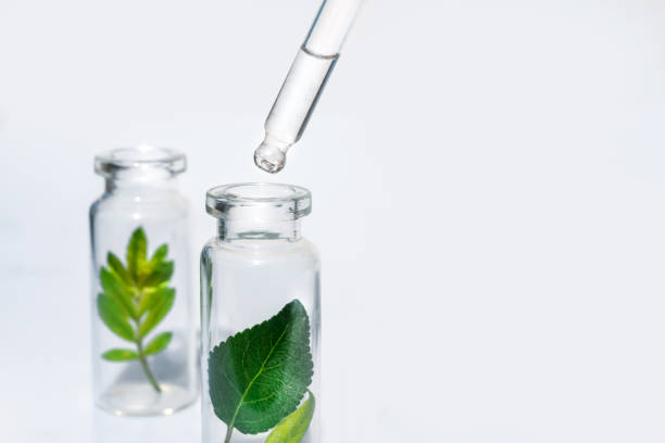 istock Bottles with herbs, natural essential oil, organic cosmetics on white background 1228956949