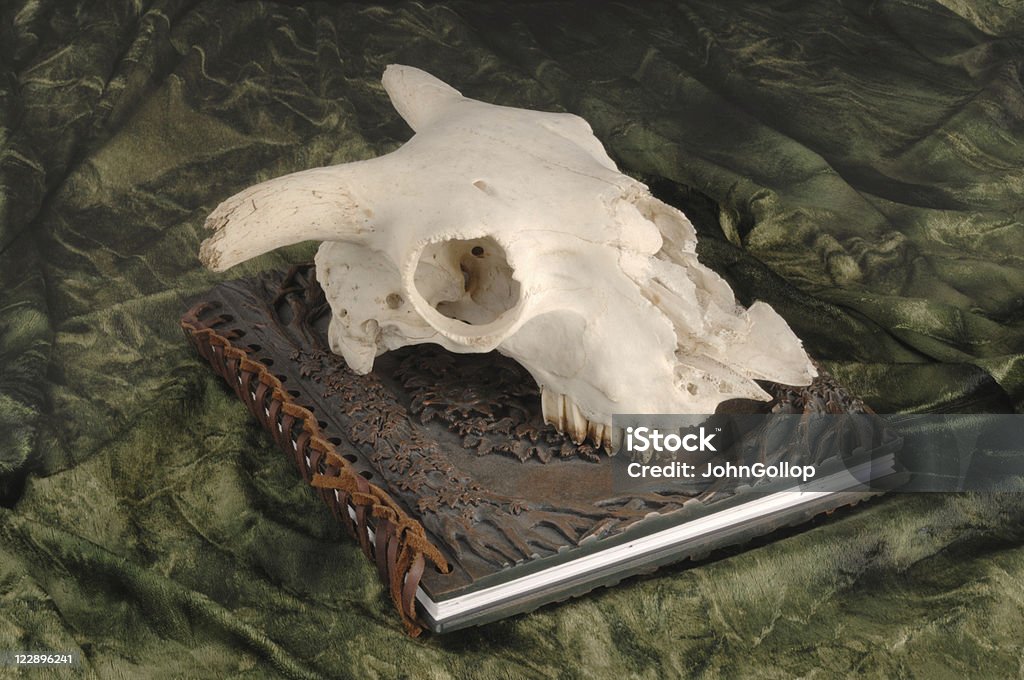 Book of Shadows  Animal Skull Stock Photo