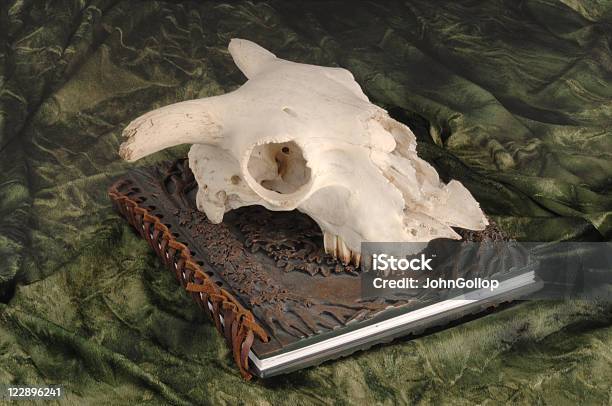 Book Of Shadows Stock Photo - Download Image Now - Animal Skull, Art, Book