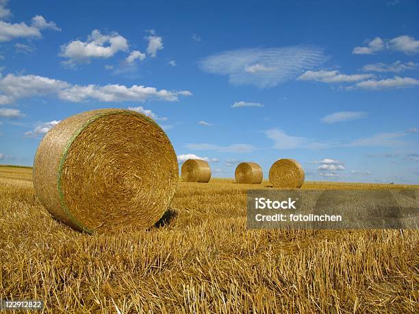 Hay Bales Stockfoto und mehr Bilder von Farbbild - Farbbild, Feld, Fotografie