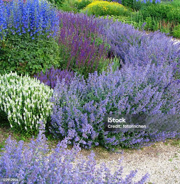 Herb Garden Stockfoto und mehr Bilder von Katzenminze - Katzenminze, Hausgarten, Gartenanlage