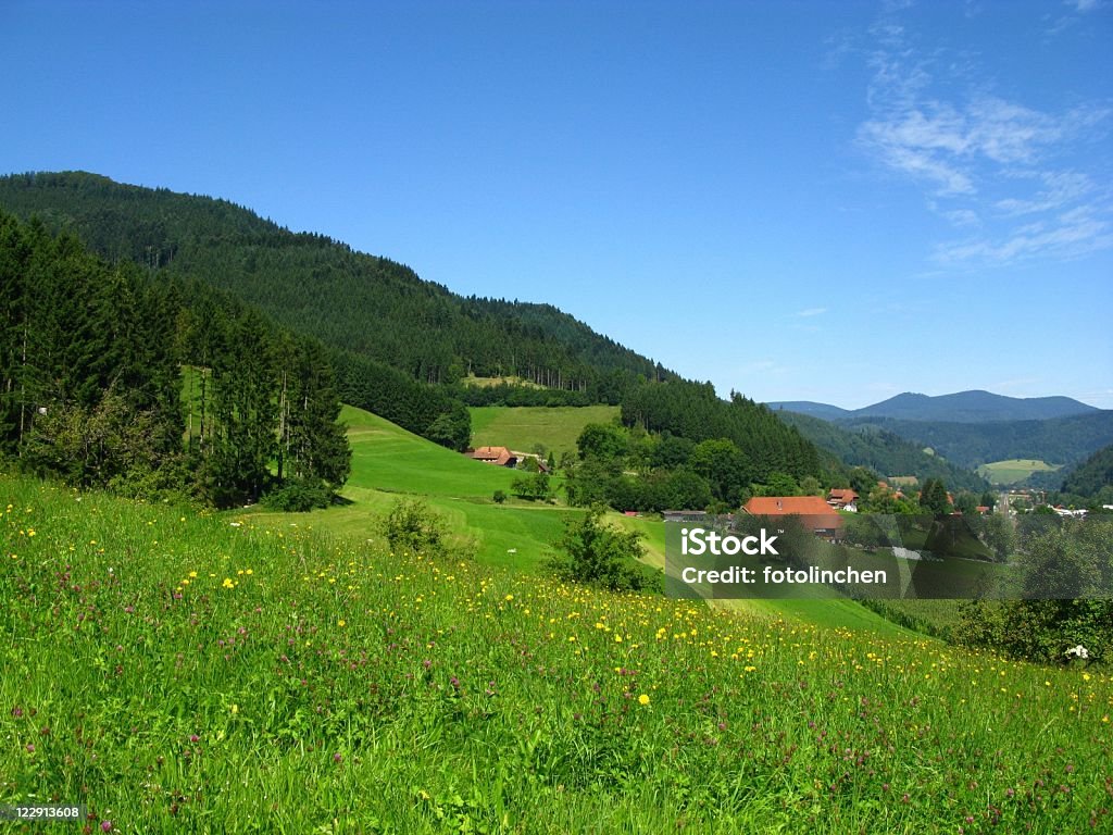 Black Forest in Deutschland - Lizenzfrei Schwarzwald Stock-Foto