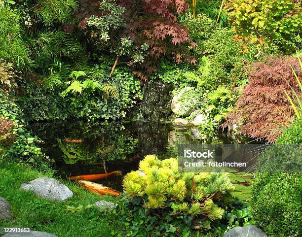 Japanischer Gartenbig Kois Im Teich Stockfoto und mehr Bilder von Bonsai - Bonsai, Buchsbaum, Bunt - Farbton