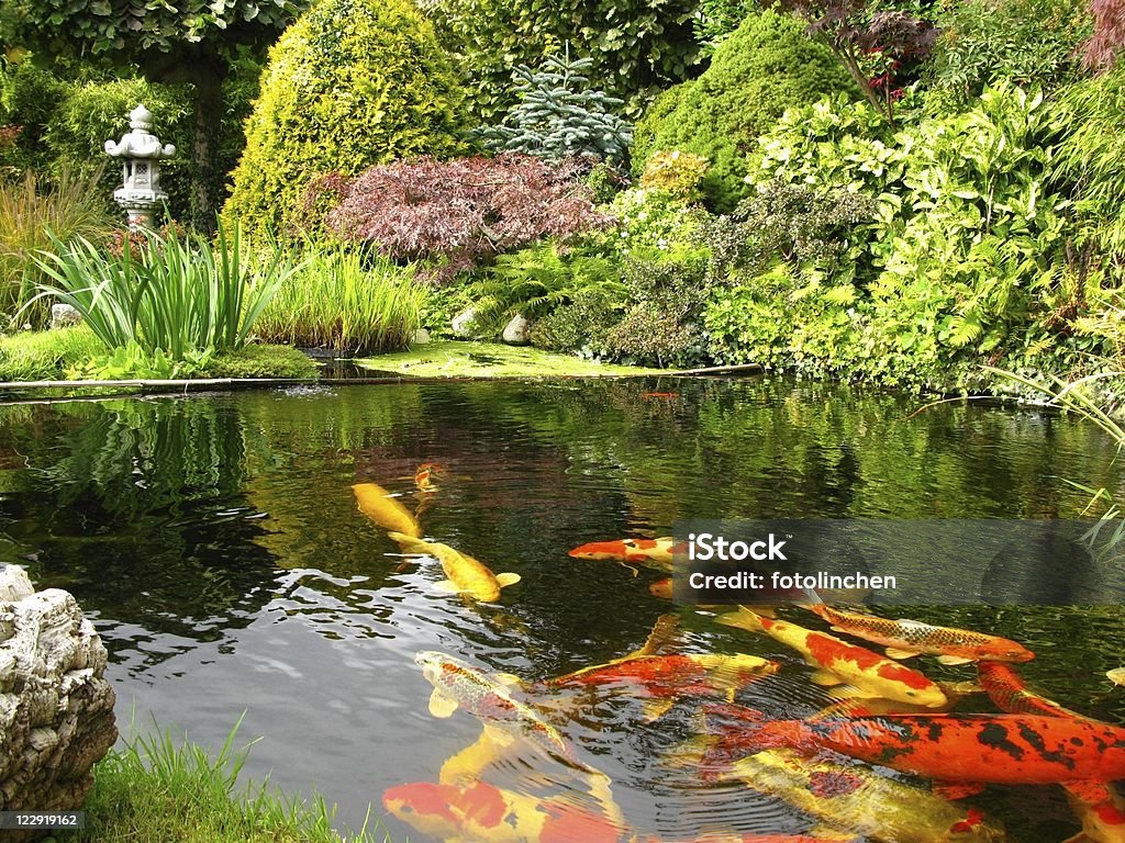 Japanischer Garten mit koi-Teich - Lizenzfrei Baum Stock-Foto