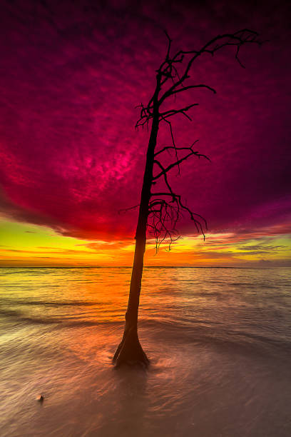 赤い空 - mentawai islands rural scene sumatra indonesia ストックフォトと画像