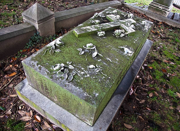 istock Hollywood Cemetery, Richmond, Virginia 122964718