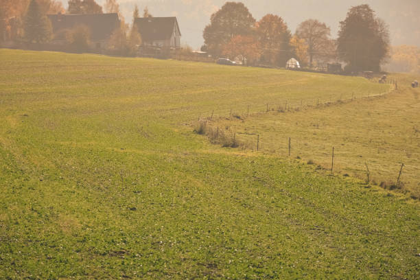 istock Misty farm field with distant house 1229656376