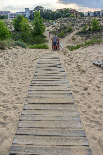 istock boardwalk leading to the beach on the sand 1229670506