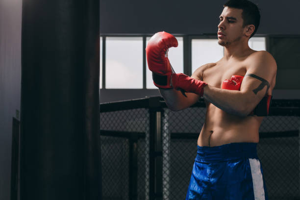 istock Muscular hardworking fighter practicing with punching bag indoor. 1229783466