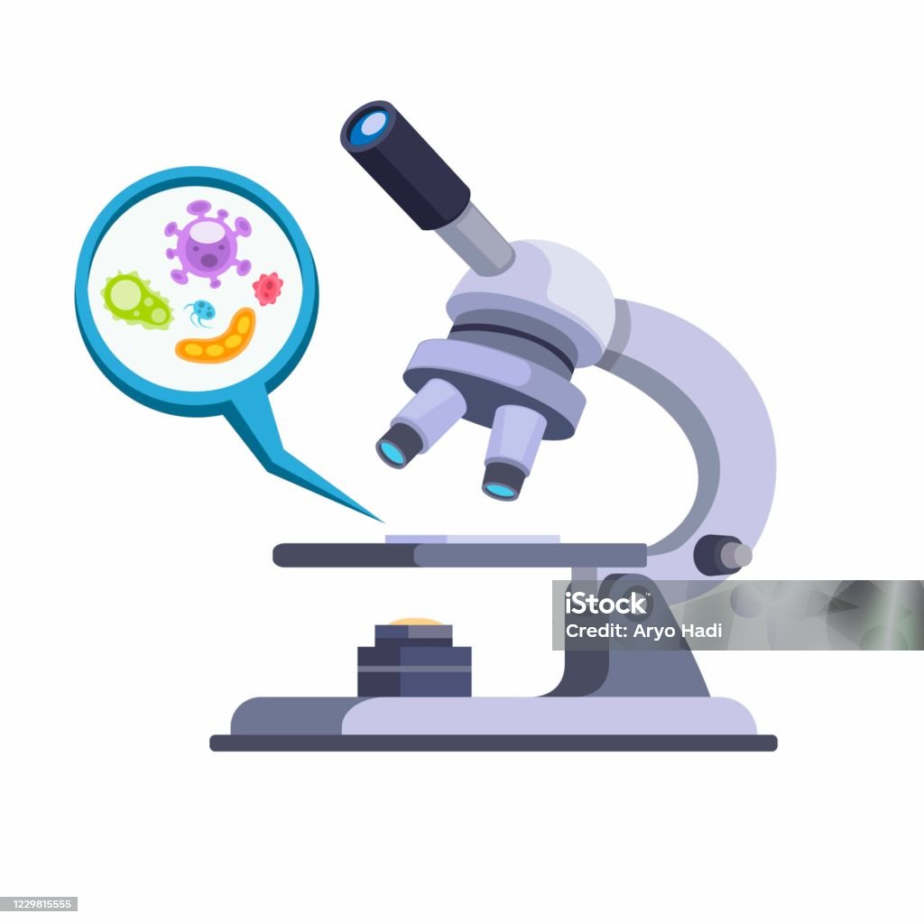 Ilustración de Microscopio Con Detección De Bacterias Herramientas De  Laboratorio En Vector De Ilustración Plana De Dibujos Animados Aislado En  Fondo Blanco y más Vectores Libres de Derechos de Microscopio - iStock