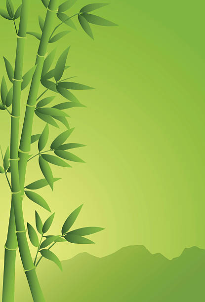 bamboo background vector art illustration