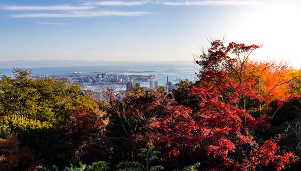 istock Top view of Kobe 1229876162