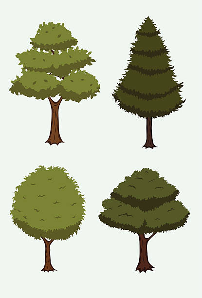 tree collection vector art illustration