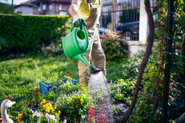 istock Watering The Garden At Sunset. 1229882726