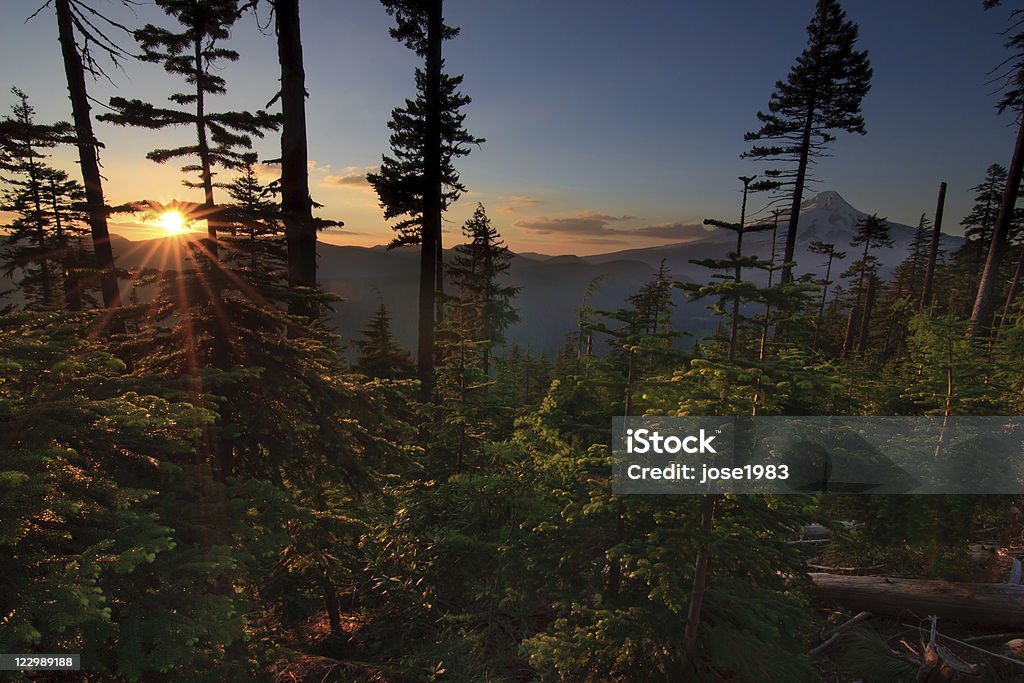 Wunderschöner Aussicht auf Mount Hood in Oregon, USA, an. - Lizenzfrei Oregon - US-Bundesstaat Stock-Foto