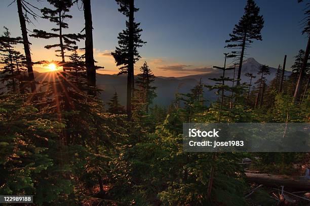 Wunderschöner Aussicht Auf Mount Hood In Oregon Usa An Stockfoto und mehr Bilder von Oregon - US-Bundesstaat