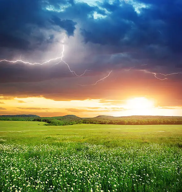 Green meadow in mountain. Composition of nature. 