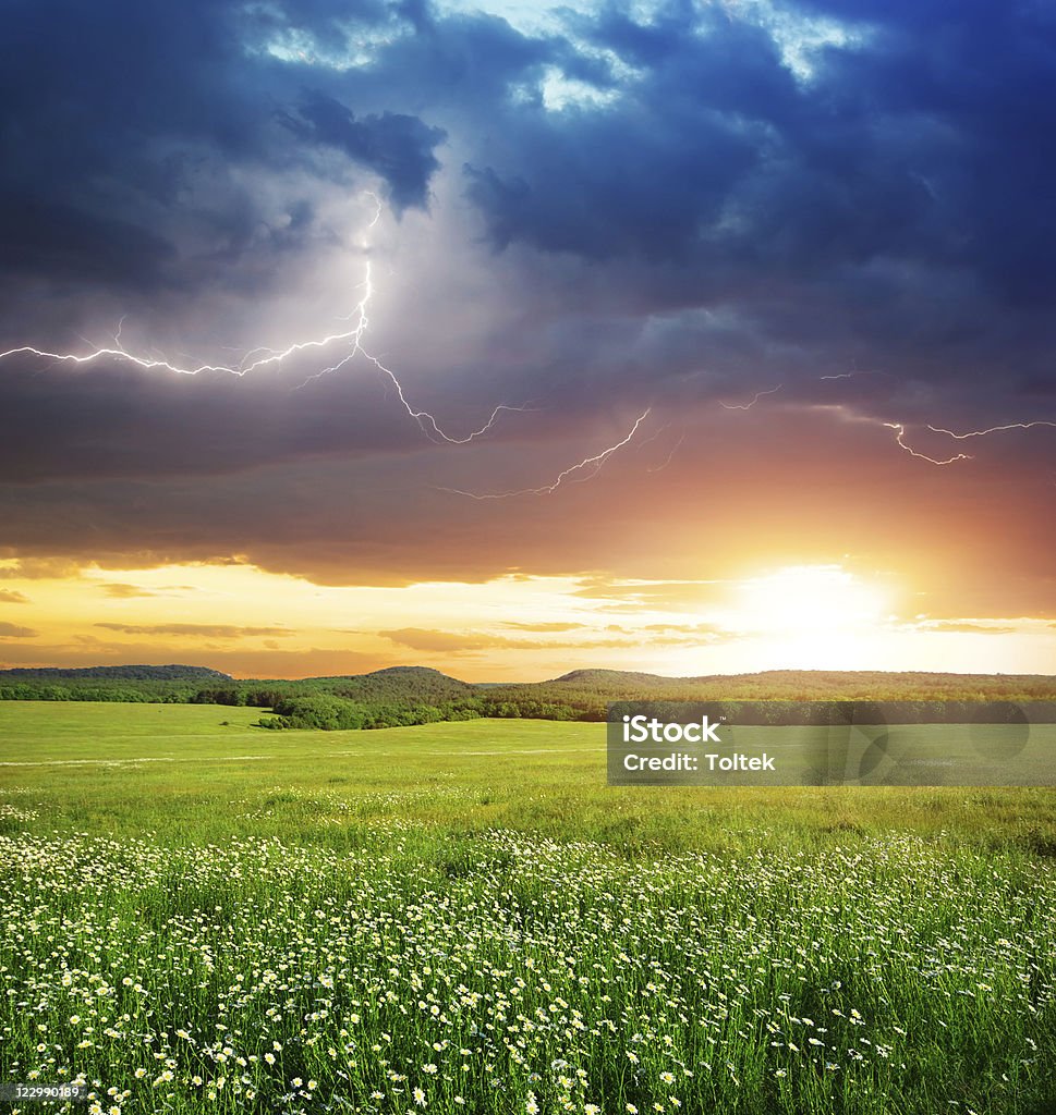 Prado verde na montanha. - Royalty-free Luz Solar Foto de stock