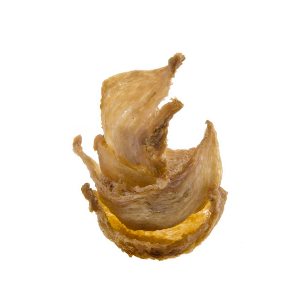 istock bird's nest or dry bird's nest on a background 1229907377