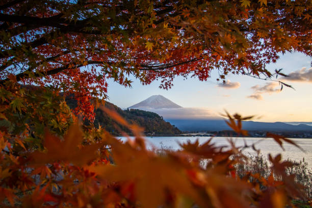istock Autumn at Kawaguchiko lake. 1230030676