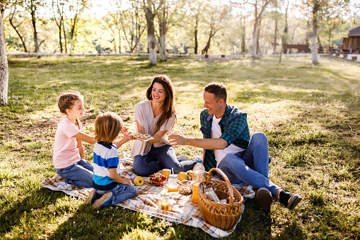 Galletas en un picnic! photo