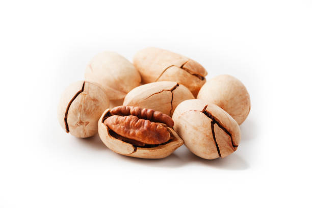 istock Pecan isolated on white background. Close-up, macro. A nut in a shell. 1230115525
