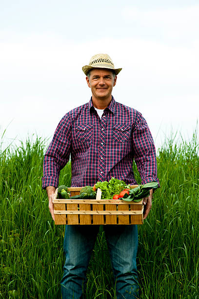 istock Farmer Carrying  A Crate Of Vegetables 123013562